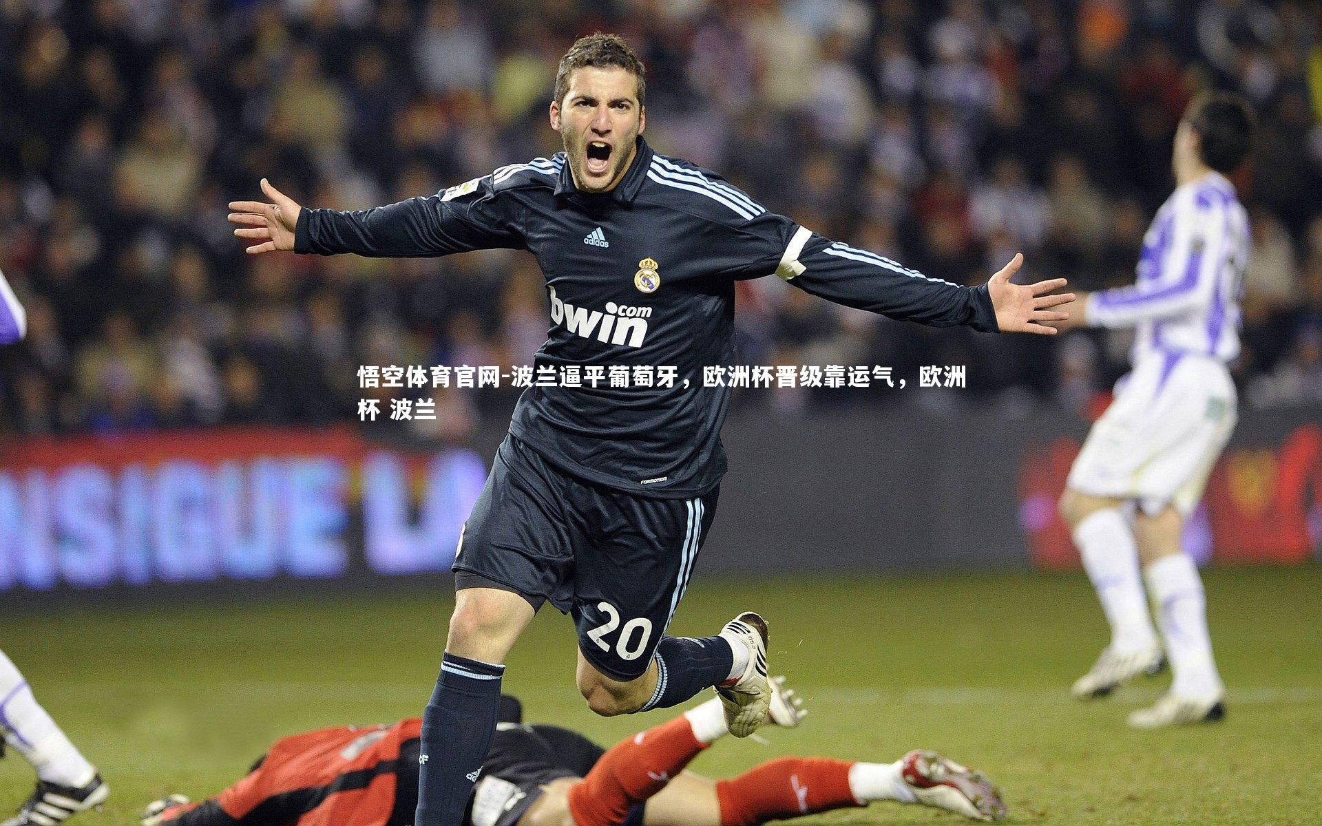 波兰逼平葡萄牙，欧洲杯晋级靠运气，欧洲杯 波兰