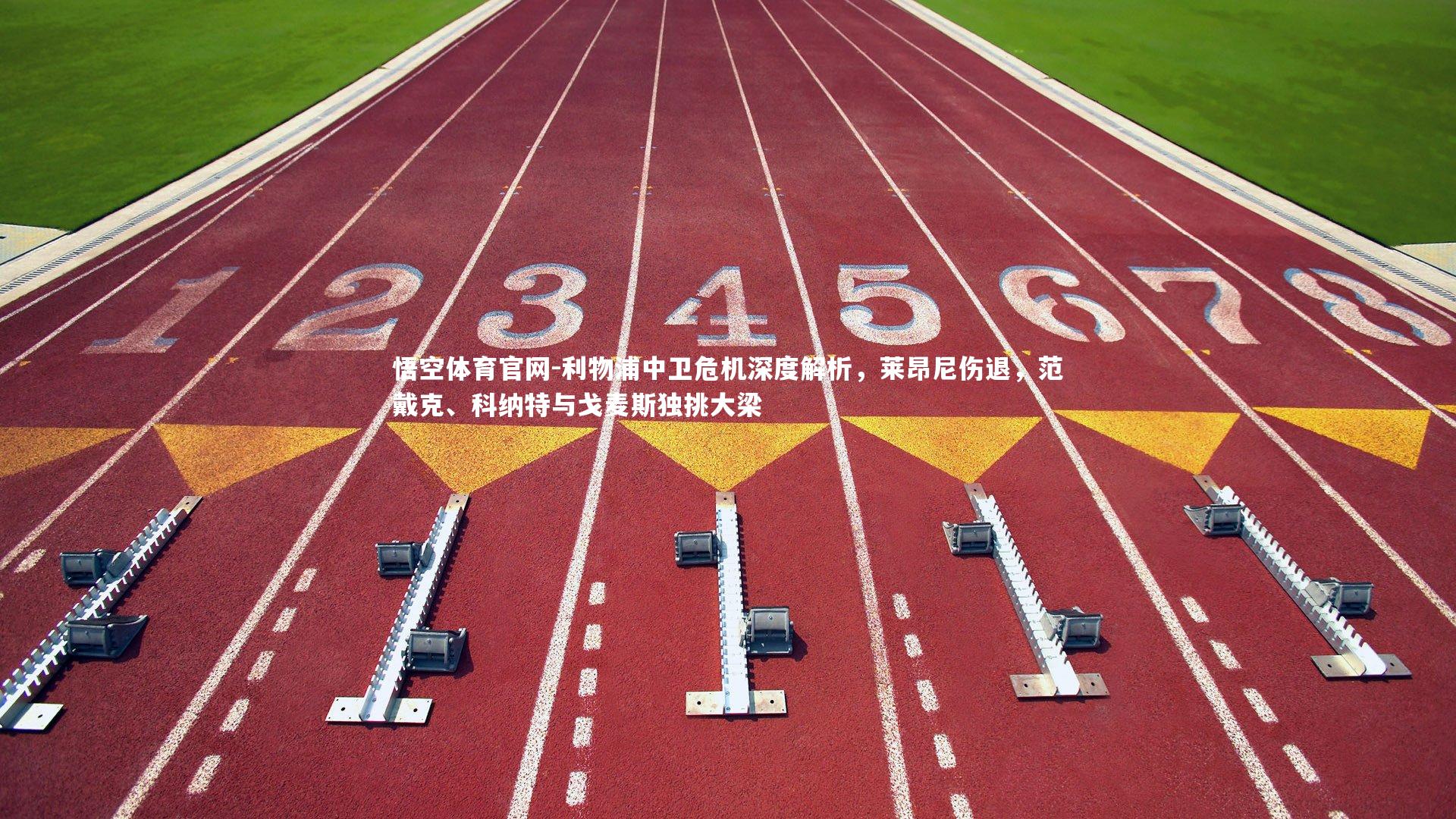 利物浦中卫危机深度解析，莱昂尼伤退，范戴克、科纳特与戈麦斯独挑大梁