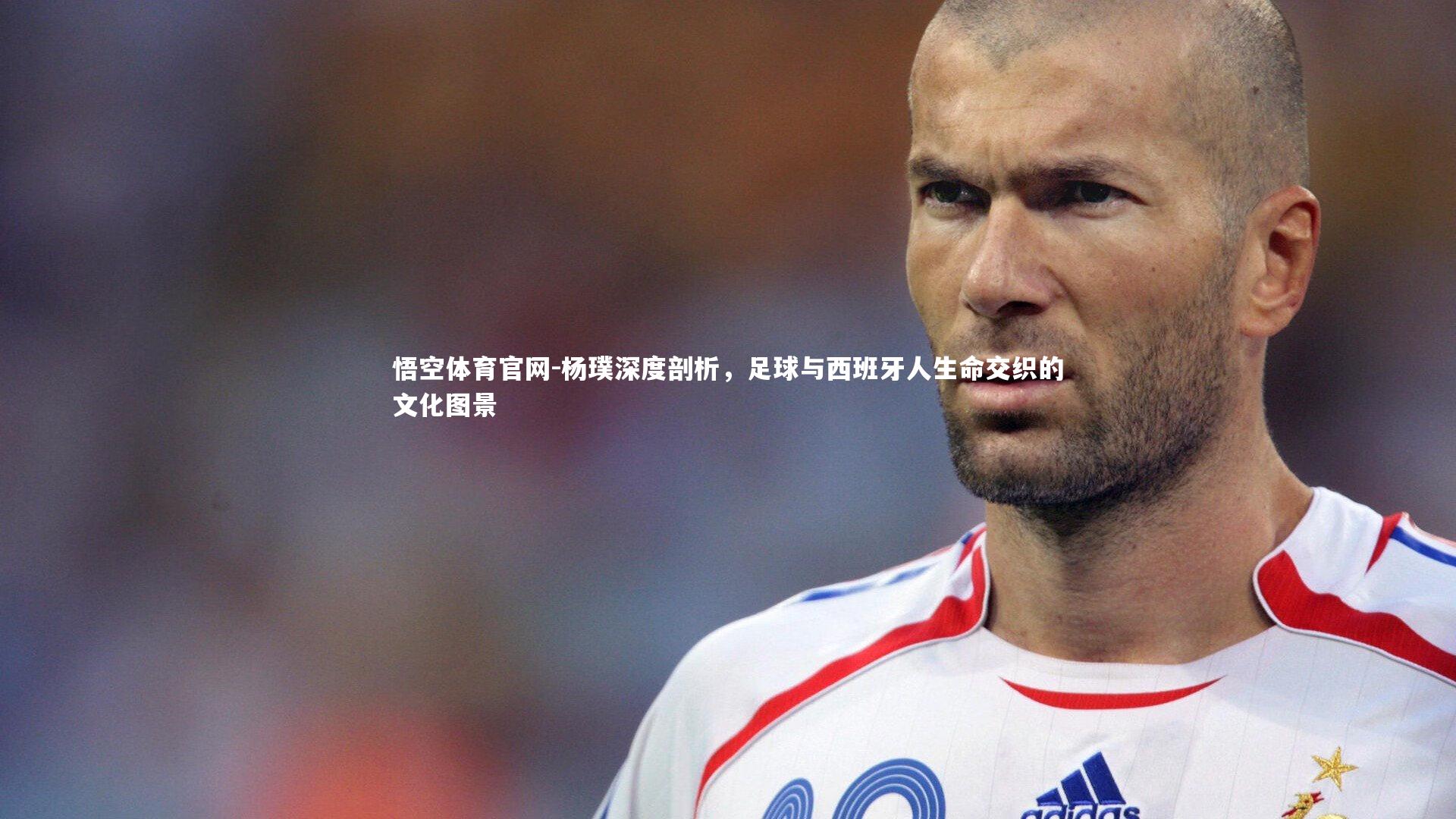 杨璞深度剖析，足球与西班牙人生命交织的文化图景