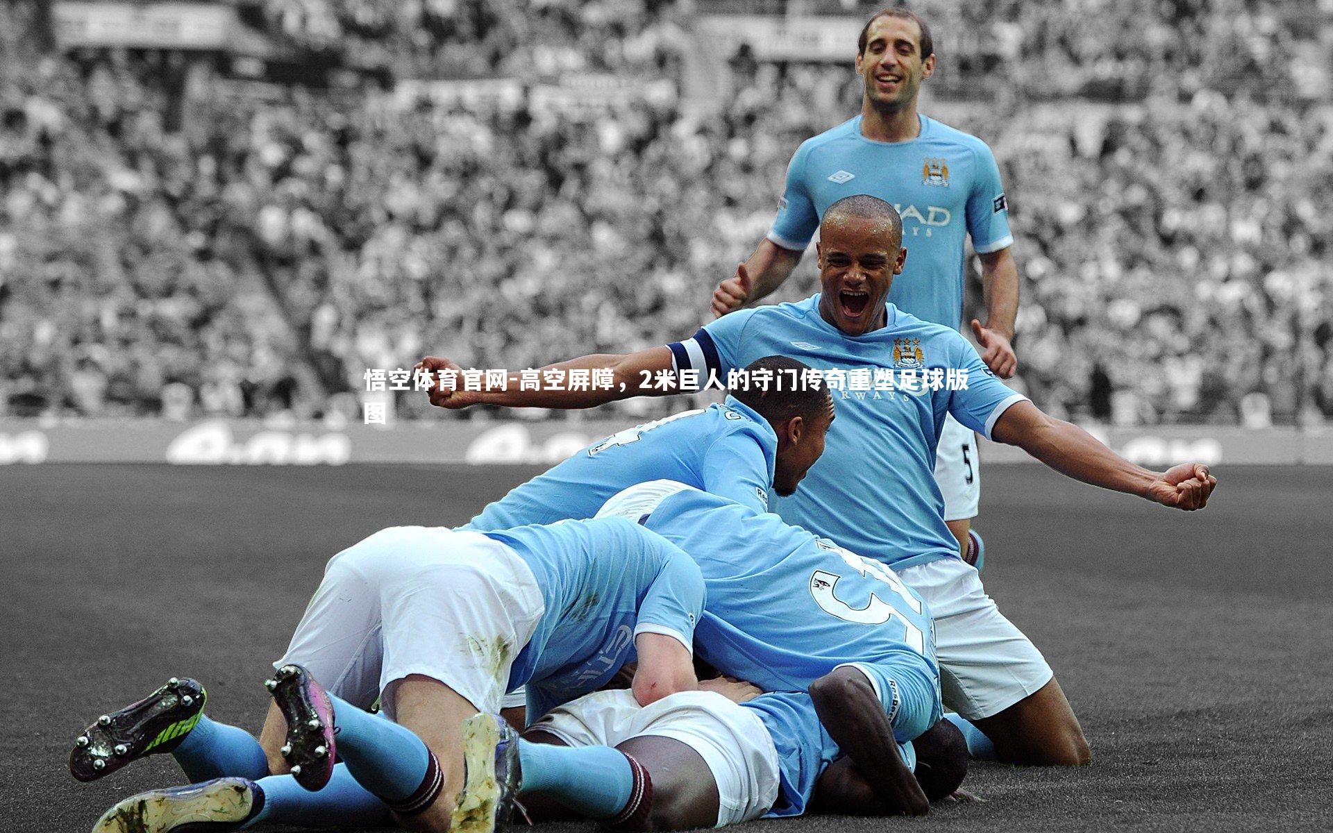 高空屏障,2米巨人的守门传奇重塑足球版图